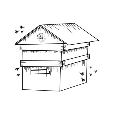 Adopt A Hive | Henstooth Homestead
